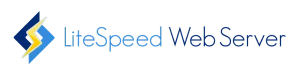 cheap litespeed license